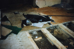 Digital Camera
