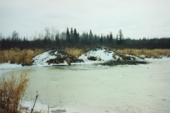 PIC_1165 (Large).JPG