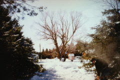 Digital Camera