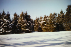 Digital Camera