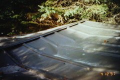 Digital Camera