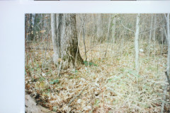 Digital Camera