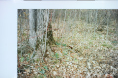 Digital Camera