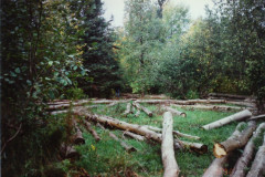 PIC_1366 (Large).JPG