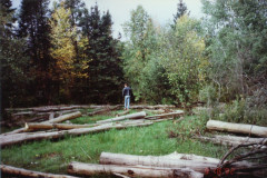 PIC_1368 (Large).JPG