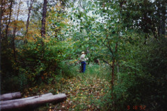 PIC_1369 (Large).JPG