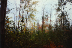 PIC_1370 (Large).JPG