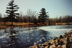 PIC_1373 (Large).JPG