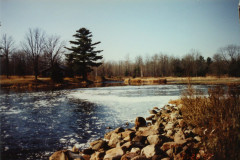 PIC_1374 (Large).JPG