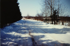 PIC_1376 (Large).JPG