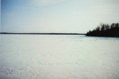 PIC_1378 (Large).JPG