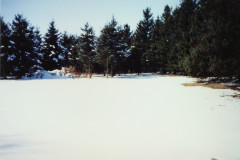 PIC_1382 (Large).JPG