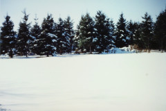 PIC_1383 (Large).JPG