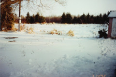 PIC_1384 (Large).JPG