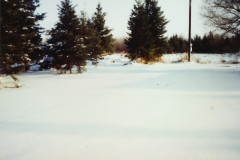 PIC_1386 (Large).JPG