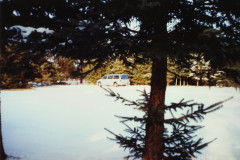 PIC_1391 (Large).JPG