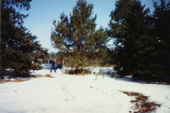 PIC_1392 (Large).JPG