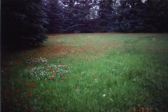 PIC_1401 (Large).JPG