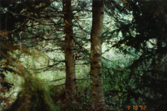 PIC_1405 (Large).JPG