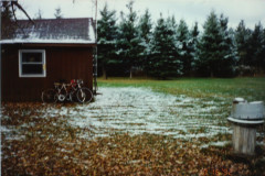 PIC_1412 (Large).JPG