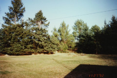 PIC_1415 (Large).JPG