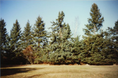 PIC_1416 (Large).JPG