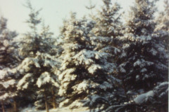 PIC_1417 (Large).JPG