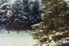 PIC_1418 (Large).JPG