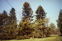 Digital Camera