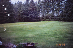 Digital Camera