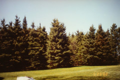 Digital Camera