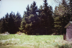 Digital Camera
