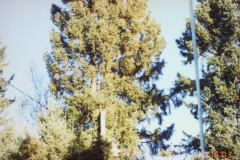 Digital Camera