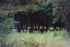Digital Camera