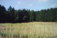 Digital Camera