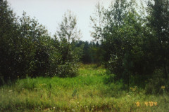 Digital Camera