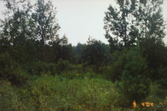 Digital Camera