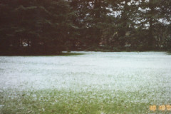 Digital Camera