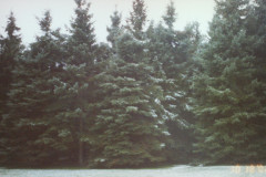 Digital Camera