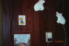 Digital Camera