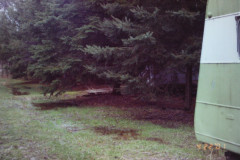 Digital Camera