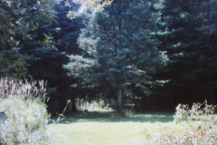 Digital Camera