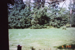 Digital Camera
