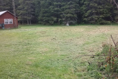 11202822_909852762391571_4959034613450216180_o-Large