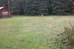 11202822_909852762391571_4959034613450216180_o