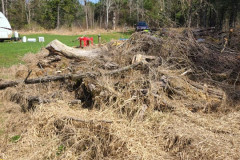 173095616_4088976327812516_8247396802689108919_n-Large