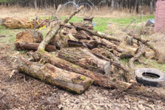 173717646_4088976504479165_3689640216534042246_n-Large