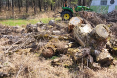 181565347_4131924350184380_634088985452953114_n-Large