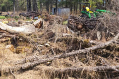 182239082_4131924240184391_8295385351788002757_n-Large