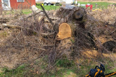 182350873_4131924483517700_8724308390789632095_n-Large